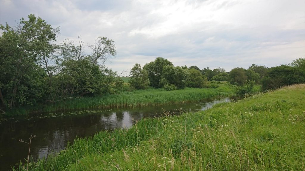 the Lėvuo river