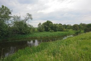 the Lėvuo river