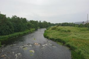 the Mūša river
