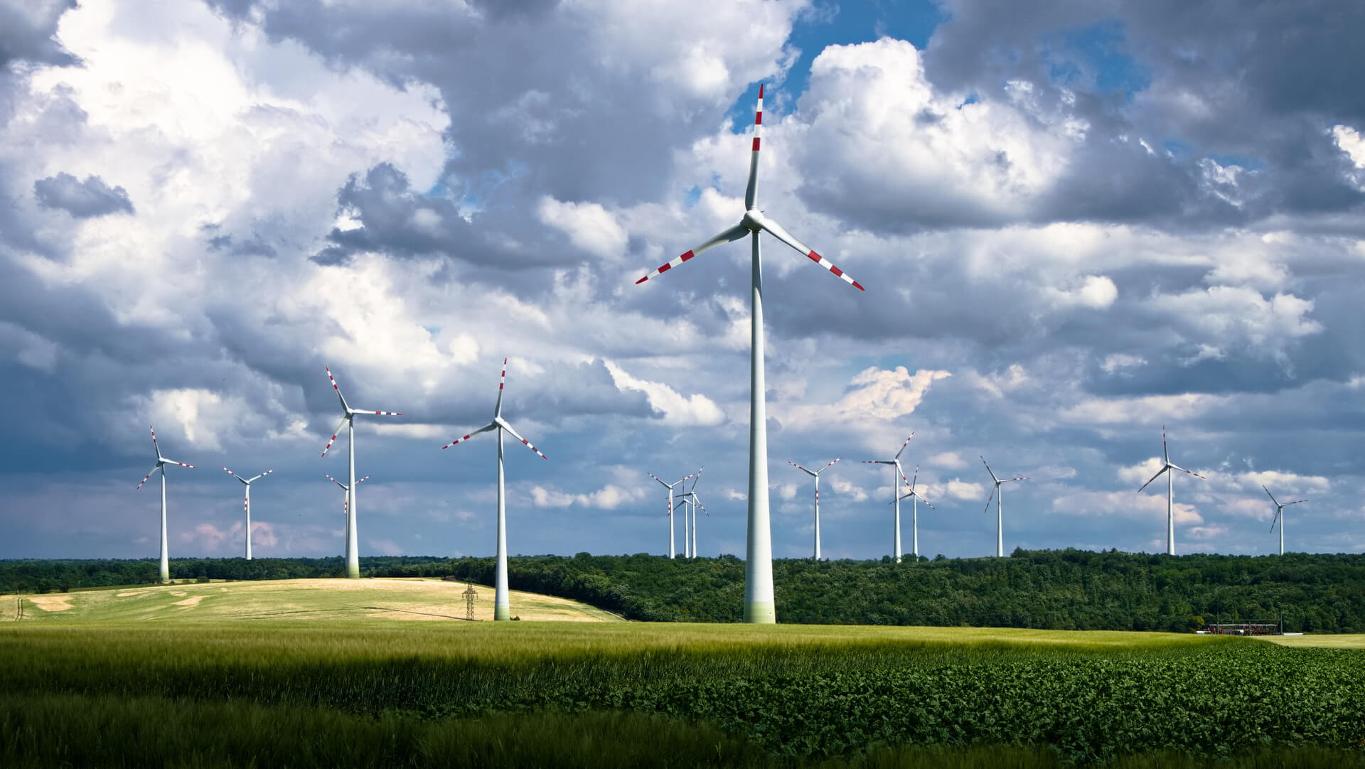 Green fields with wind-turbines