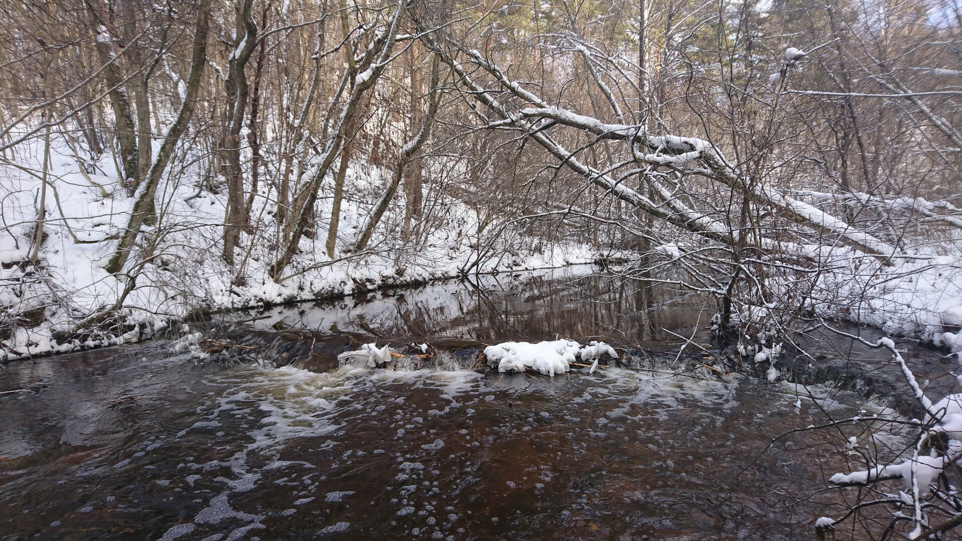 picture of river during winter