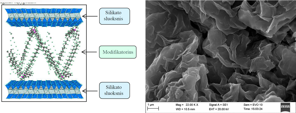 Fig. 2. Structure model of modified layered silicate and SEM photograph