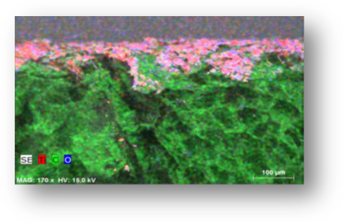 Investigation of antifungal properties of coated polystyrene