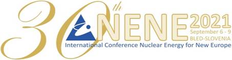 NENE 2021 Conference banner