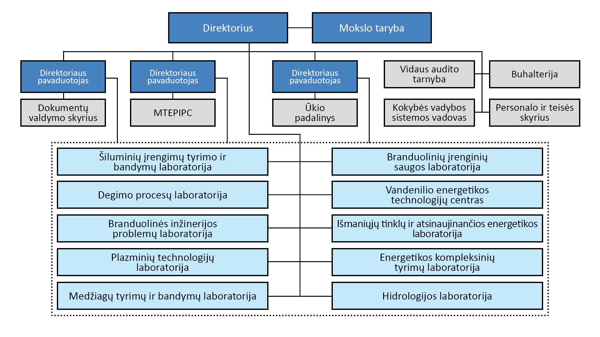 Lietuvos energetikos instituto valdymo schema