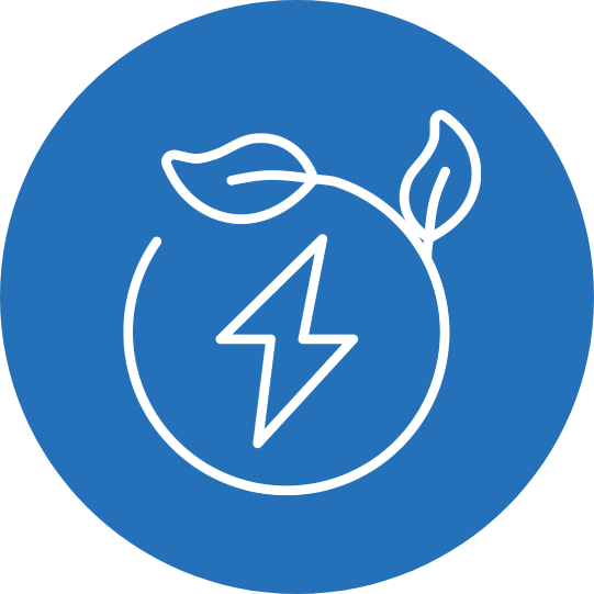 Bioenergetika, energija iš atliekų