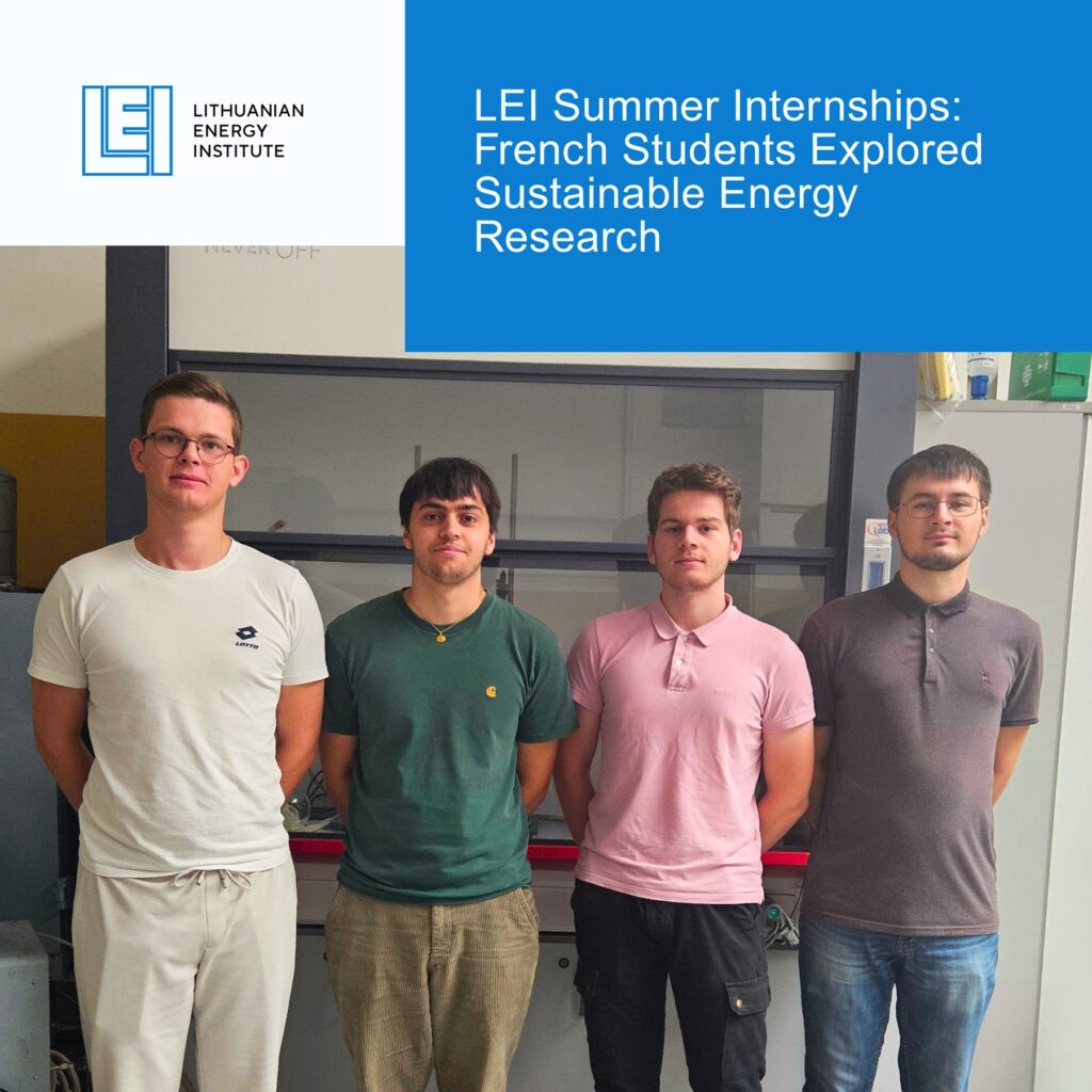 Internship Lithuania